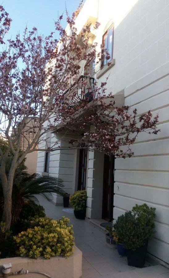 Homestay Нашшар Экстерьер фото